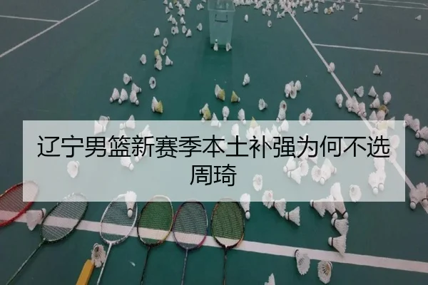 辽宁男篮新赛季本土补强为何不选周琦